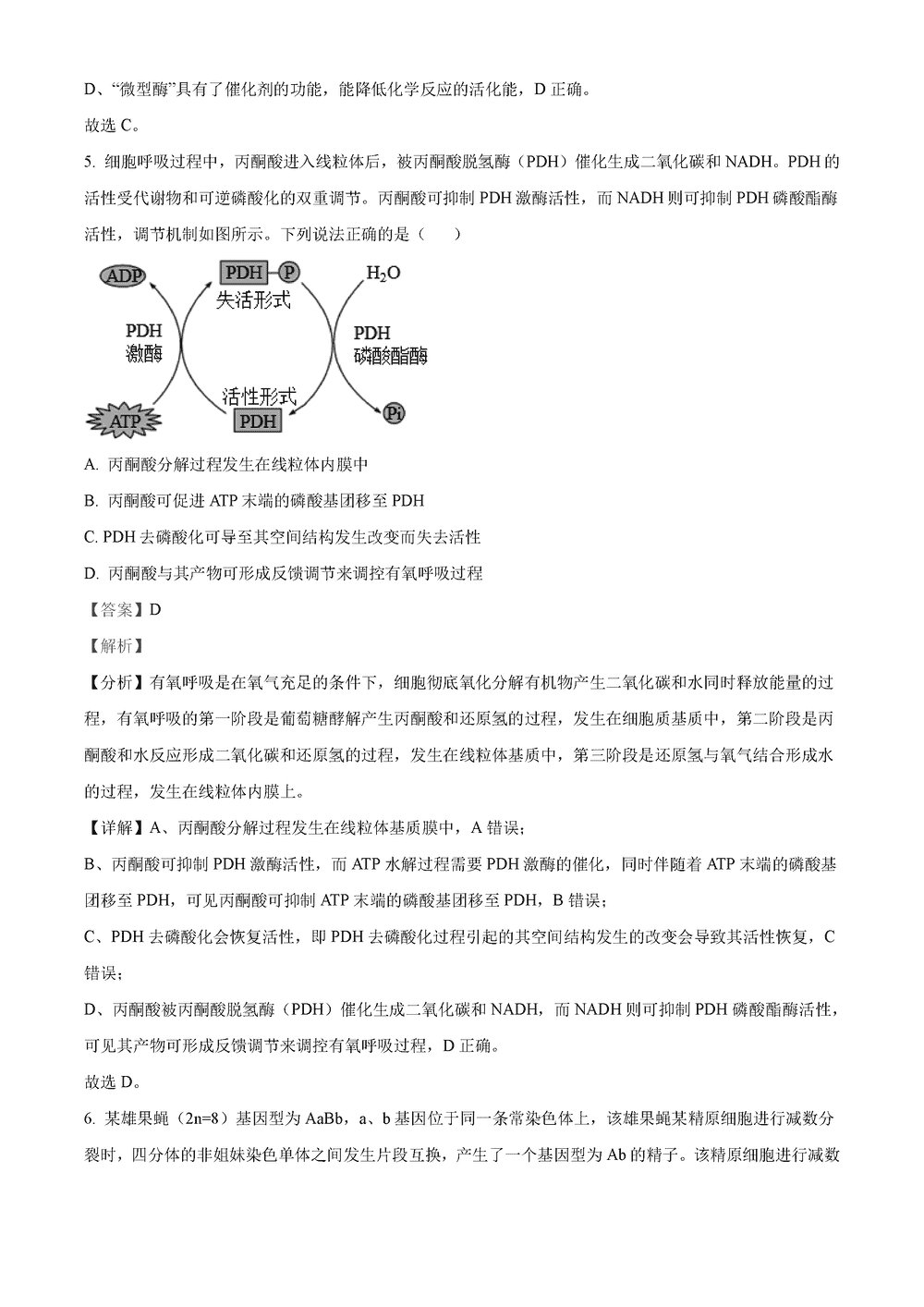 湖南岳汨联考2024届高三11月期中联考生物试题及答案