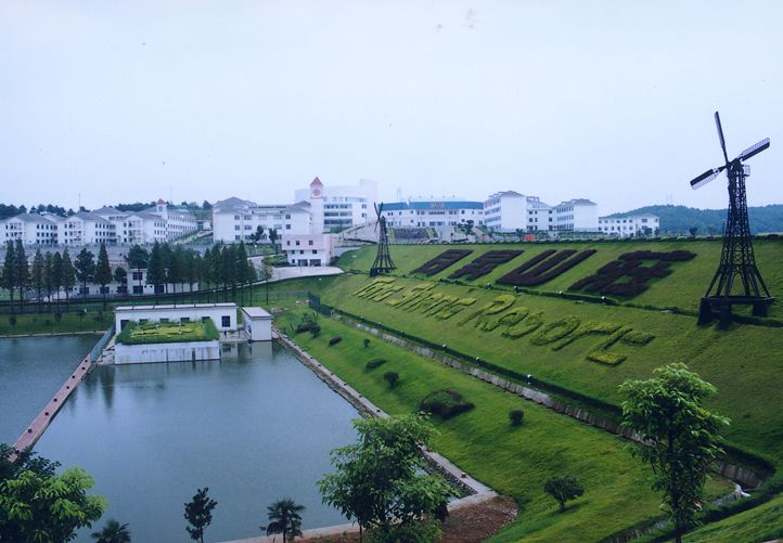 远恒佳景炎高级中学环境实景