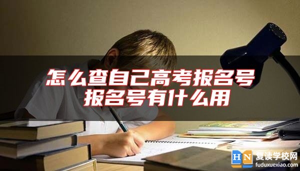 怎么查自己高考报名号 报名号有什么用